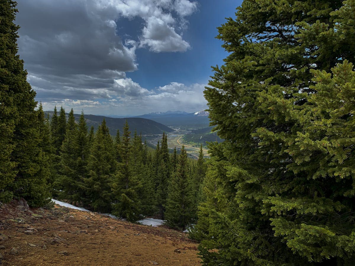 Colorado mountain forest with distant peaks