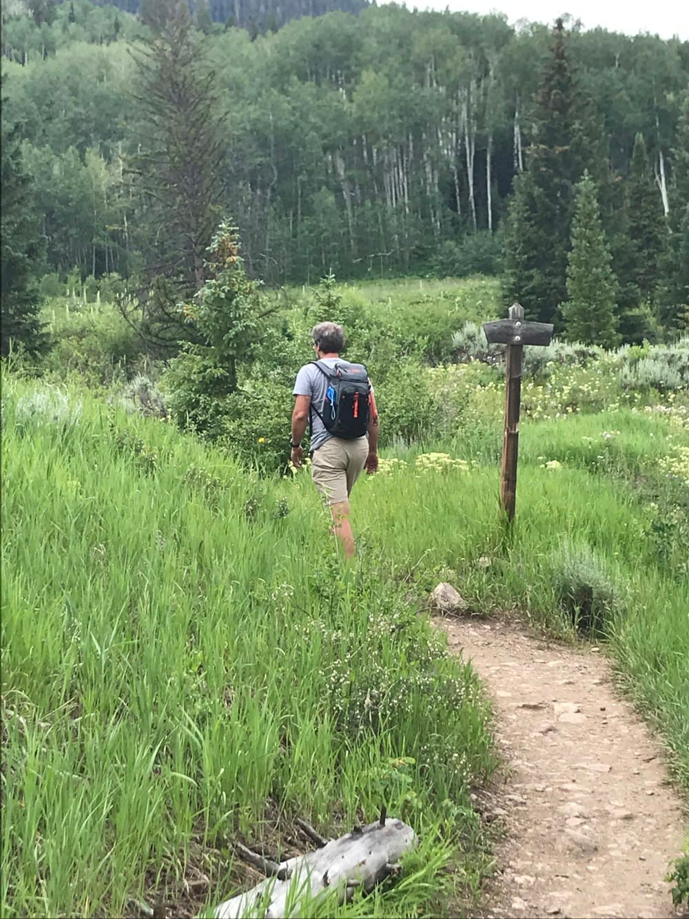 Mountain trail with stunning views of the Colorado Rockies 