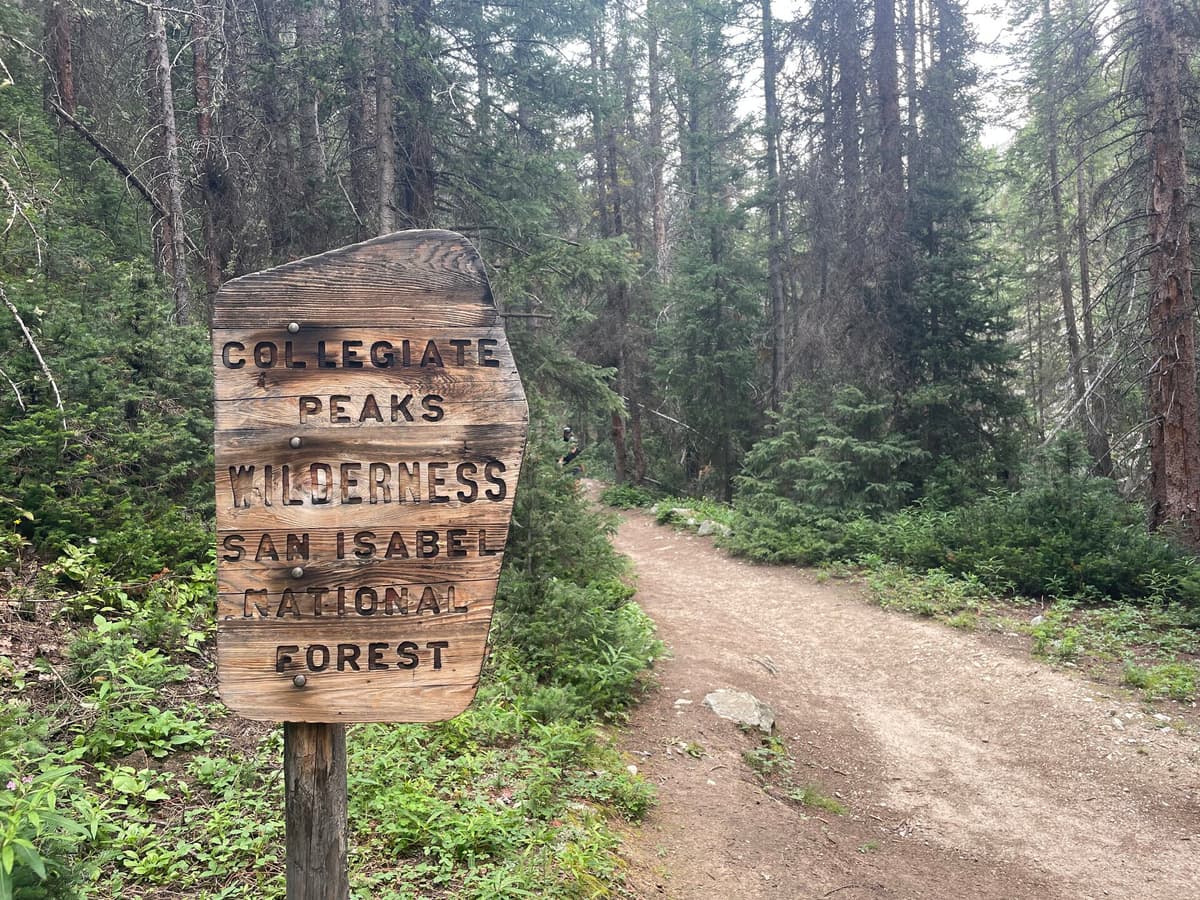 A weathered carved wooden sign reading Collegiate Peaks Wilderness, San Isabel National Forest, beside a dirt hiking trail in the pines
