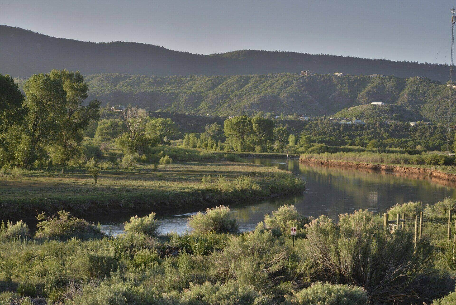 10 Best Hikes Near Durango, Colorado (2026 Trail Guide)
