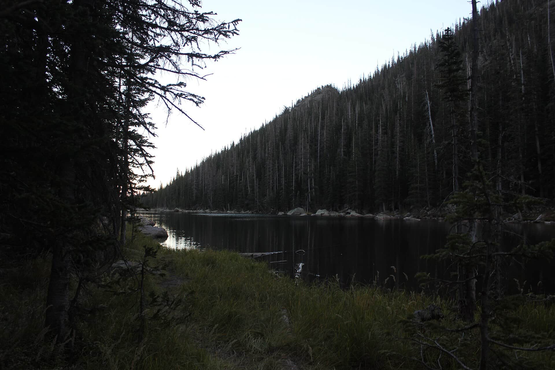 12 Best Hikes Near Estes Park, Colorado (2026 Trail Guide)