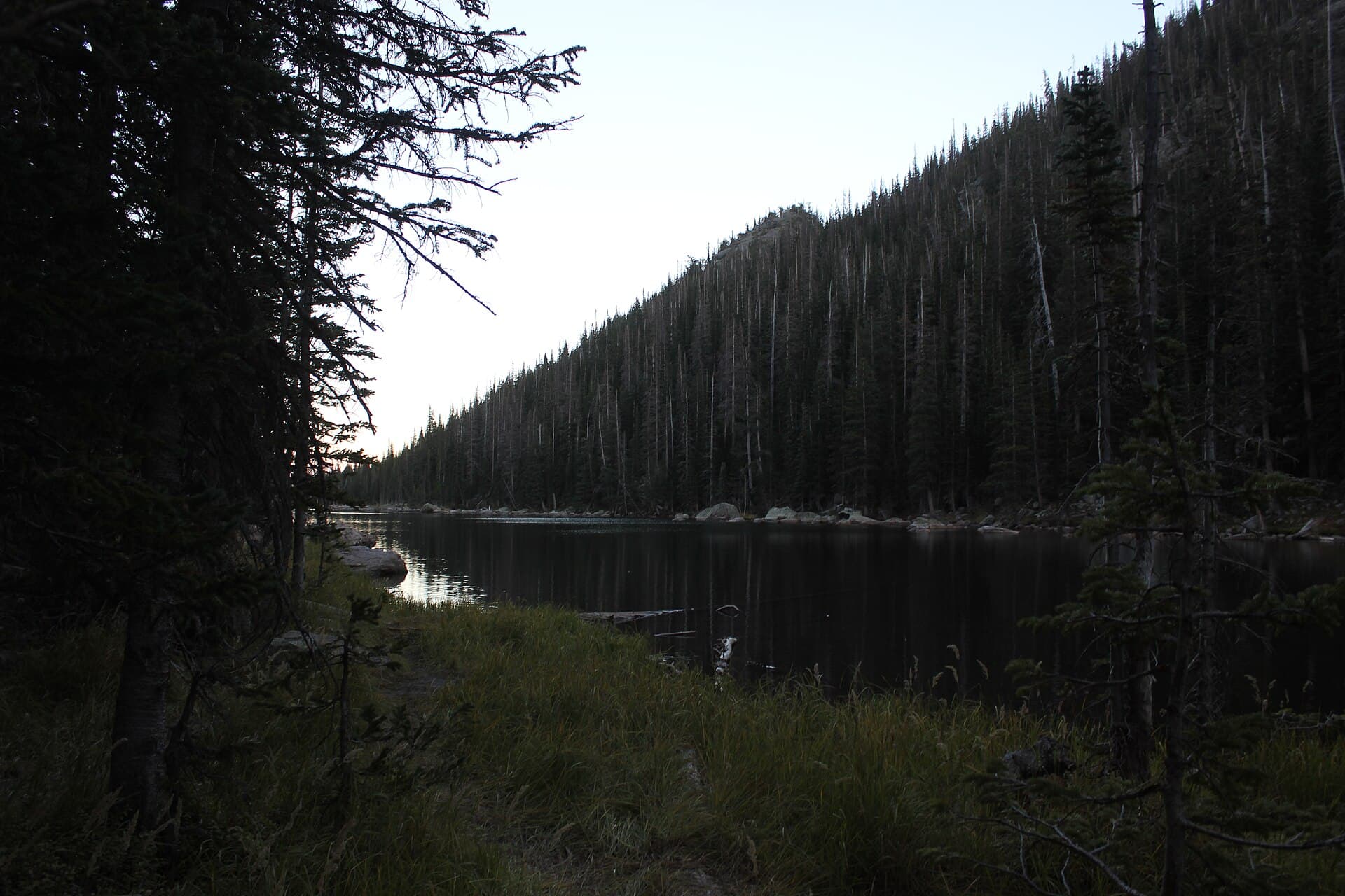 12 Best Hikes Near Estes Park, Colorado (2026 Trail Guide)