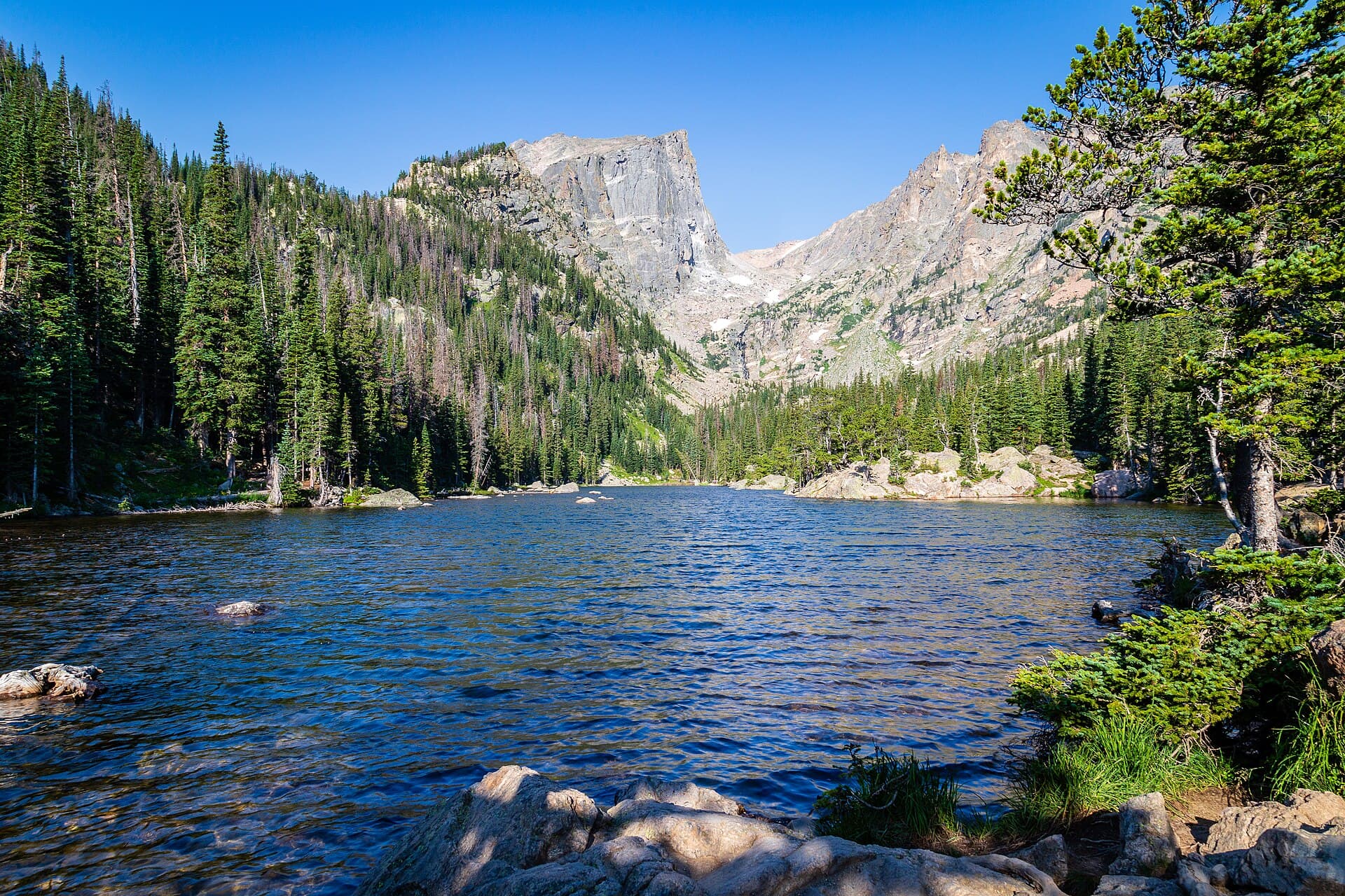 12 Best Hikes in Rocky Mountain National Park (2026 Trail Guide)