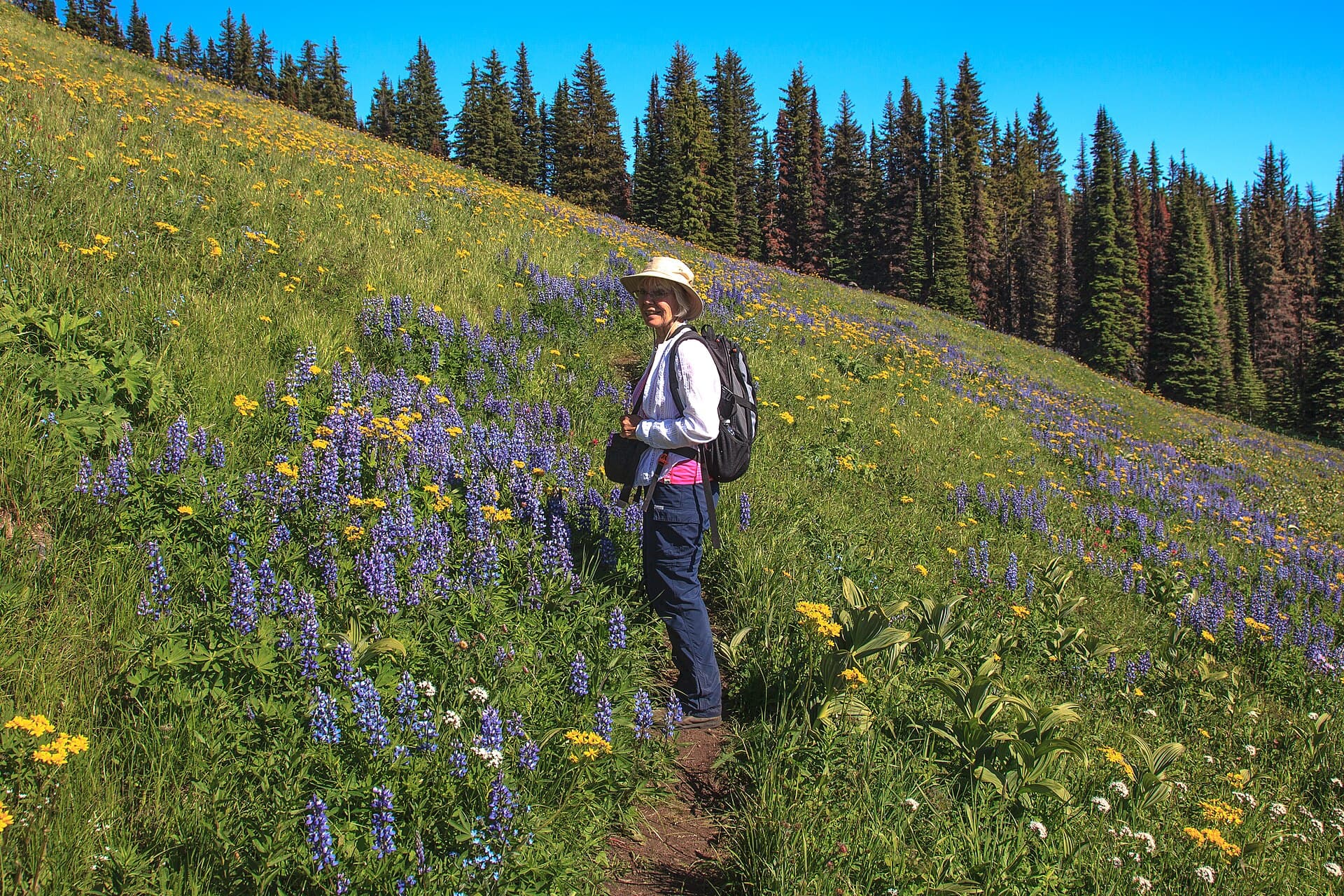 Best Hiking Hats for Women in 2026: Sun Protection for Colorado Trails