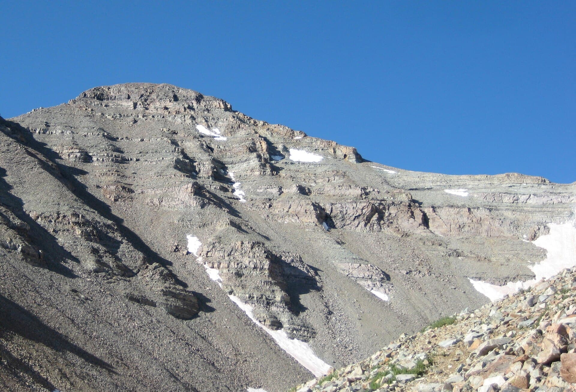 Castle Peak: A Complete Guide to Hiking Colorado's Highest Elk Mountain 14er