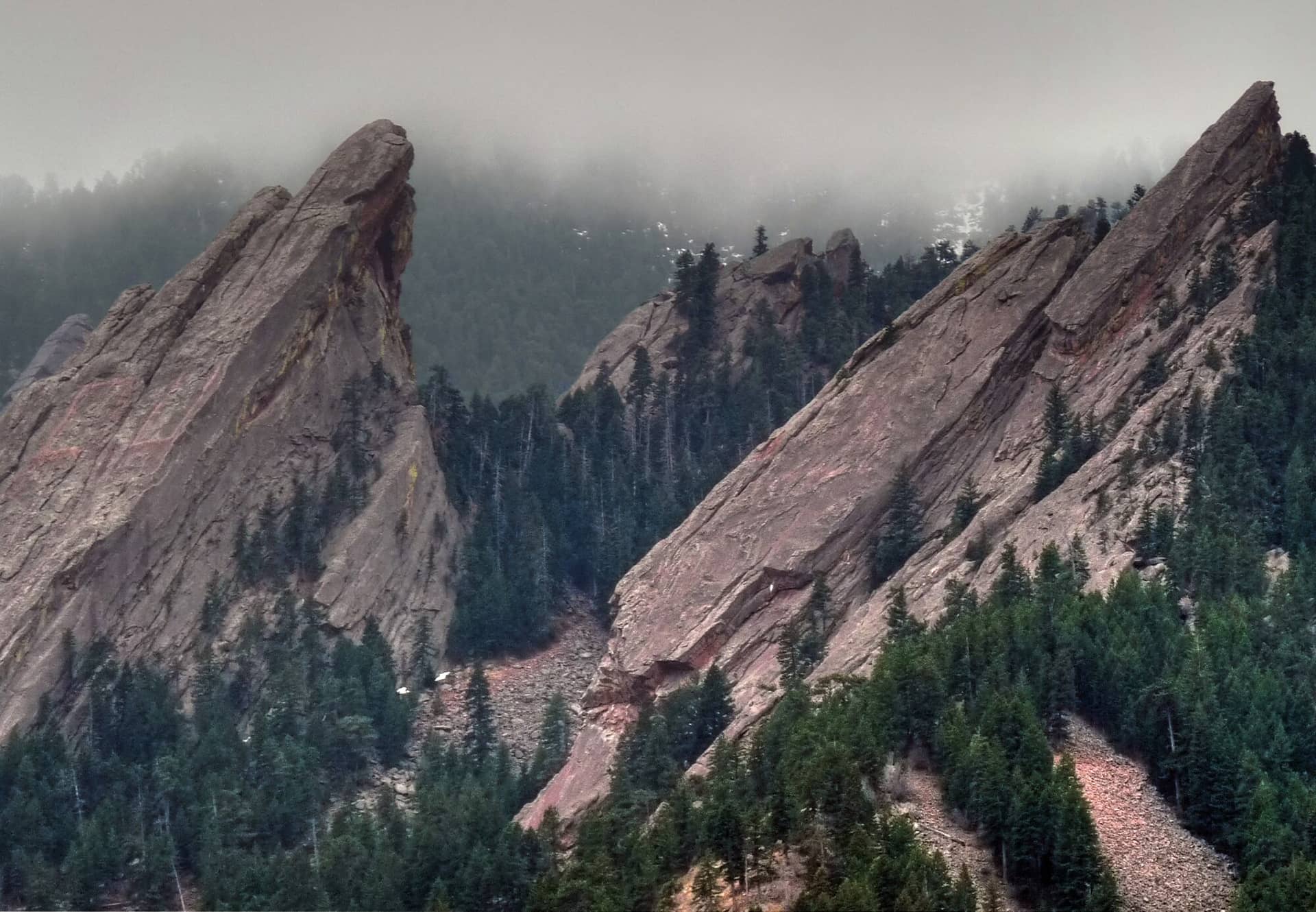Mount Muscoco Trail