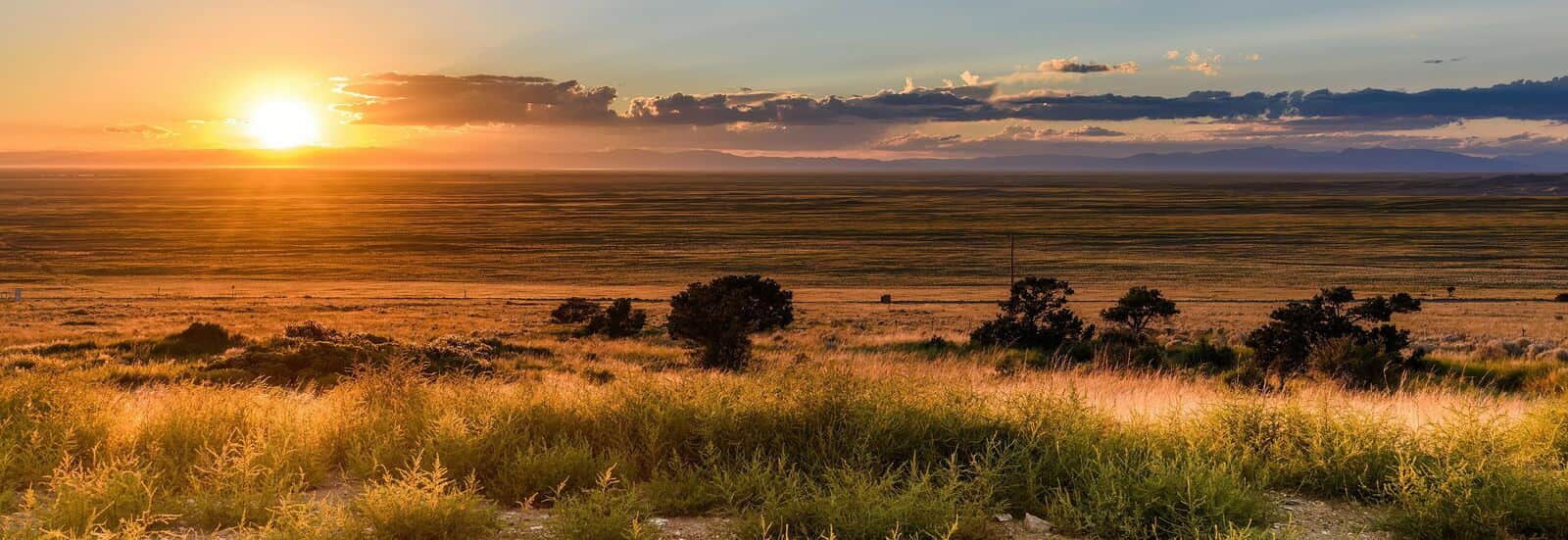 Great Sand Dunes National Park: The Complete Visitor Guide