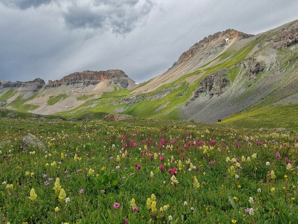The green expanse of Ice Lake Basin below the volcanic San Juan peaks near Silverton