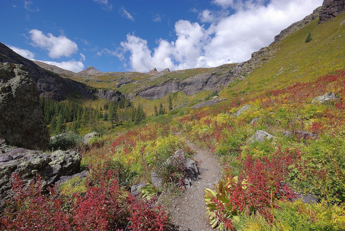 Fall color along the Ice Lake Basin trail with Fuller Peak and Golden Horn on the skyline above South Mineral Campground