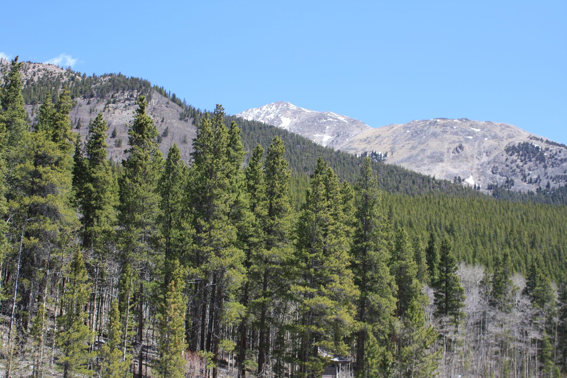 Denny Creek Trailhead: Gateway to Mount Yale, Hartenstein Lake, and Browns Pass