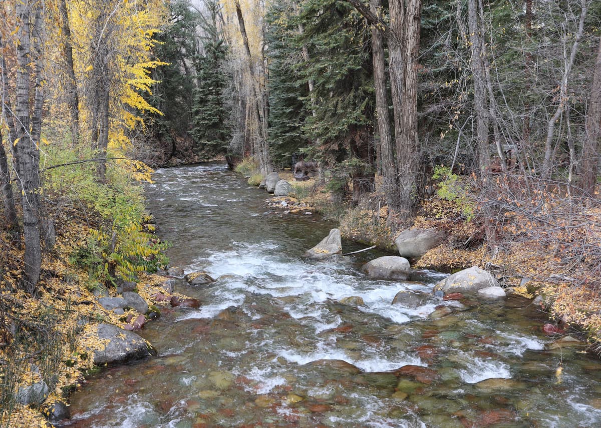 Castle Creek running through its valley south of Aspen, the drainage you drive up to reach the trailhead