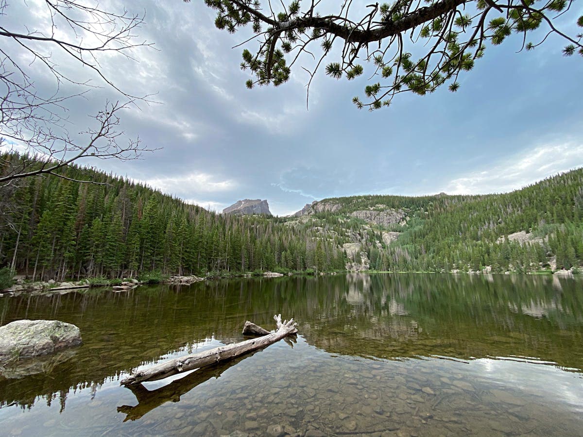 Emerald Lake Trail in Rocky Mountain National Park: The Ultimate Hiking Guide for 2026