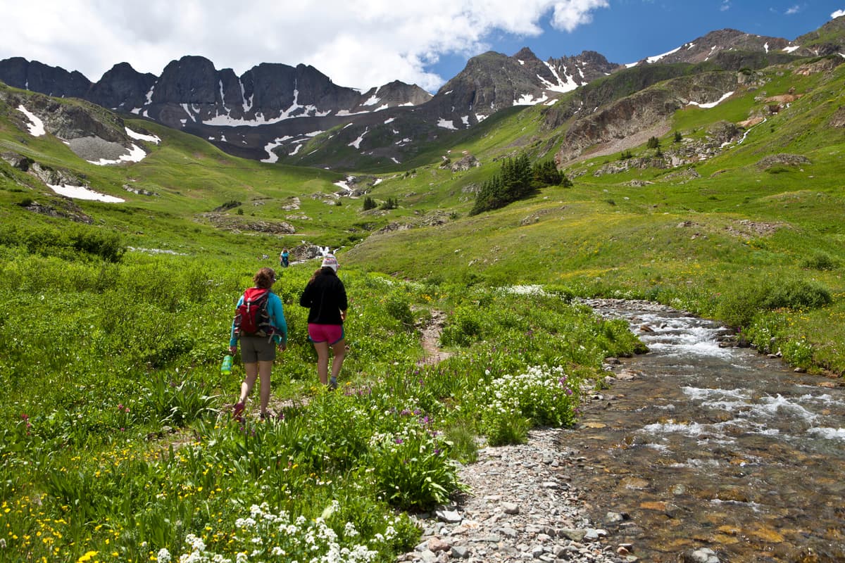 Wildflowers filling American Basin below the high San Juan ridgeline