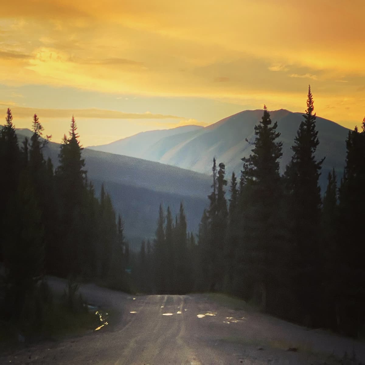 A gravel mountain road climbs toward the Mosquito Range peaks under a gold sunset sky near Alma, Colorado
