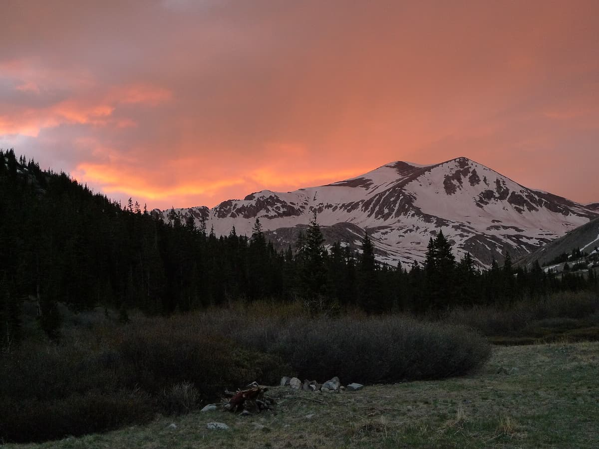 Snow-streaked Mount Democrat glows pink at twilight above a dark forest and willow flats near Kite Lake