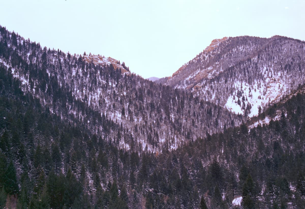 North Cheyenne Cañon in Colorado Springs, where the Seven Bridges Trail climbs alongside the creek
