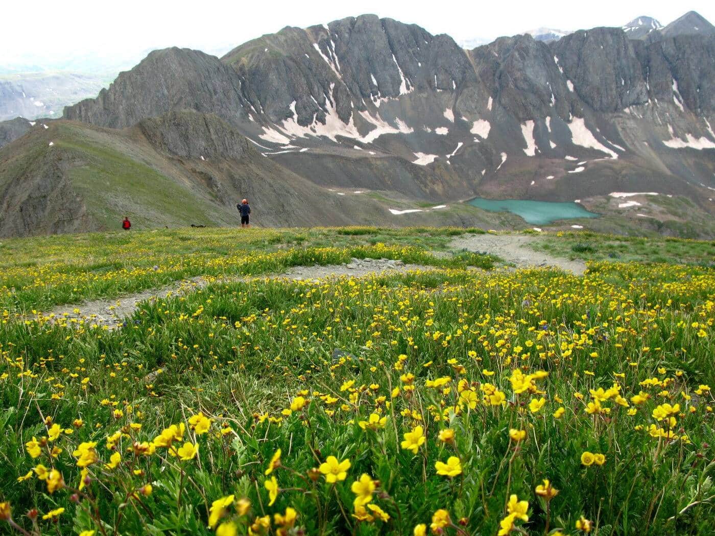 American Lake Trail