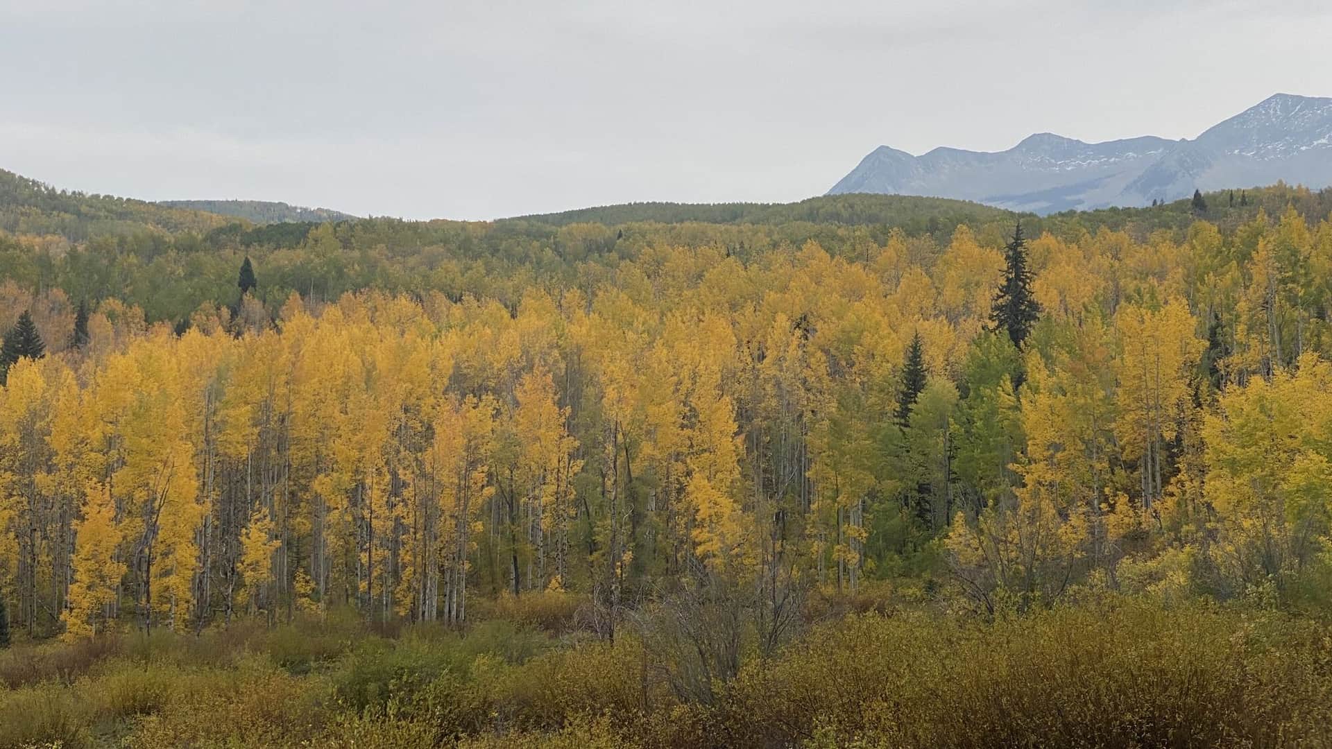 Anthracite Pass Trail