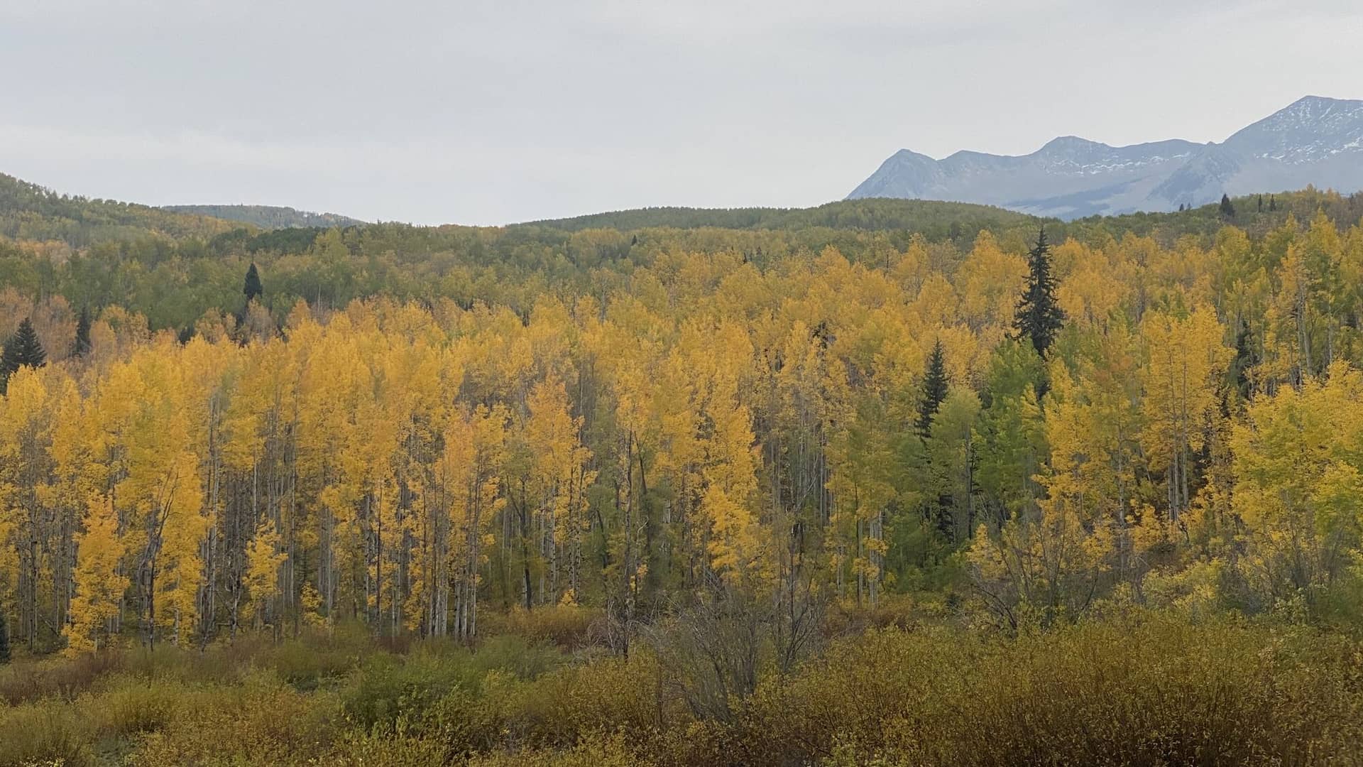 Anthracite Pass Trail