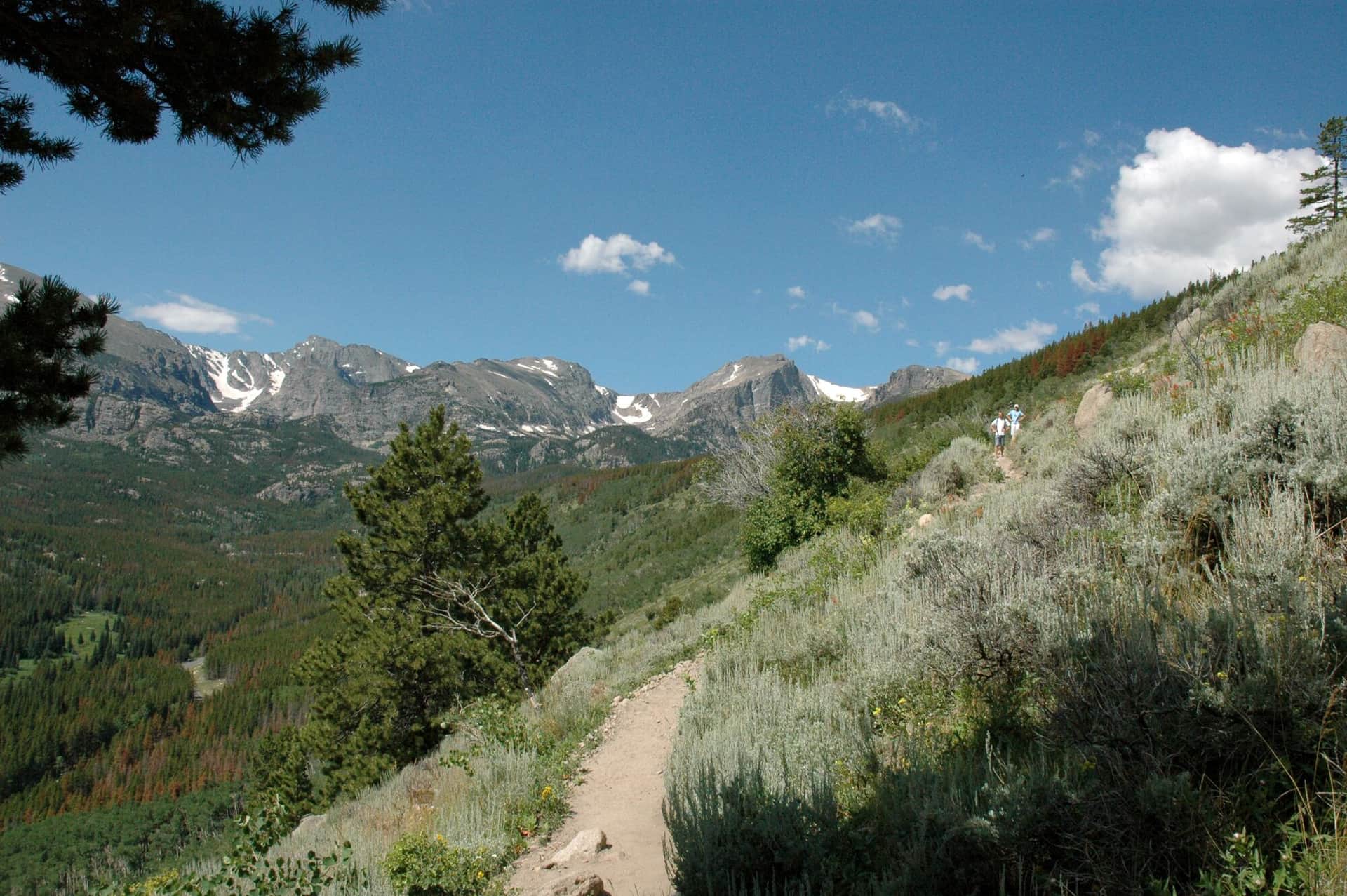 Bierstadt Lake Trail