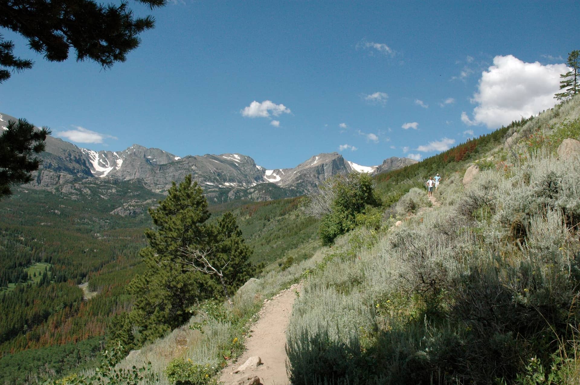 Bierstadt Lake Trail