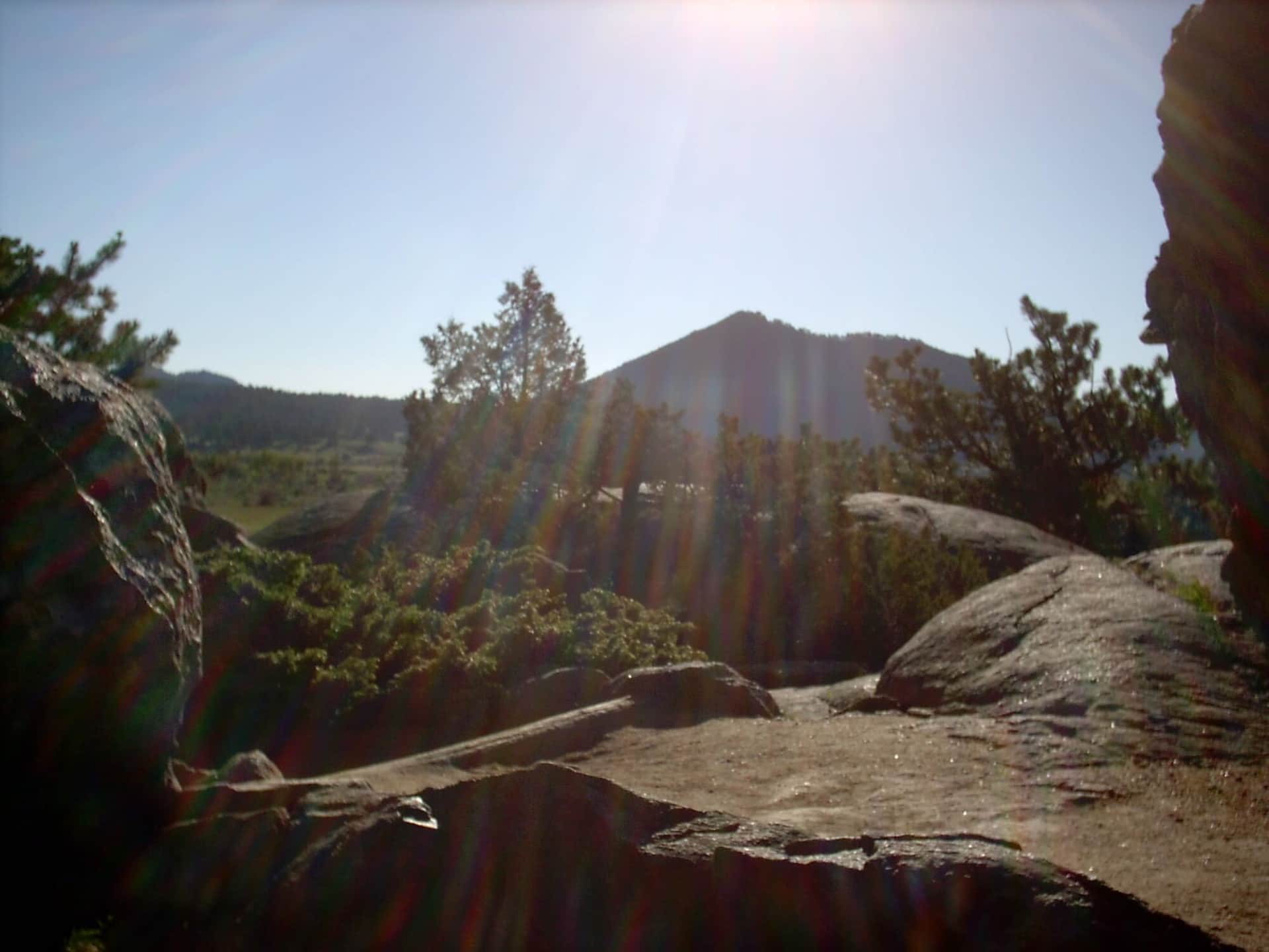 Cub Lake Trail