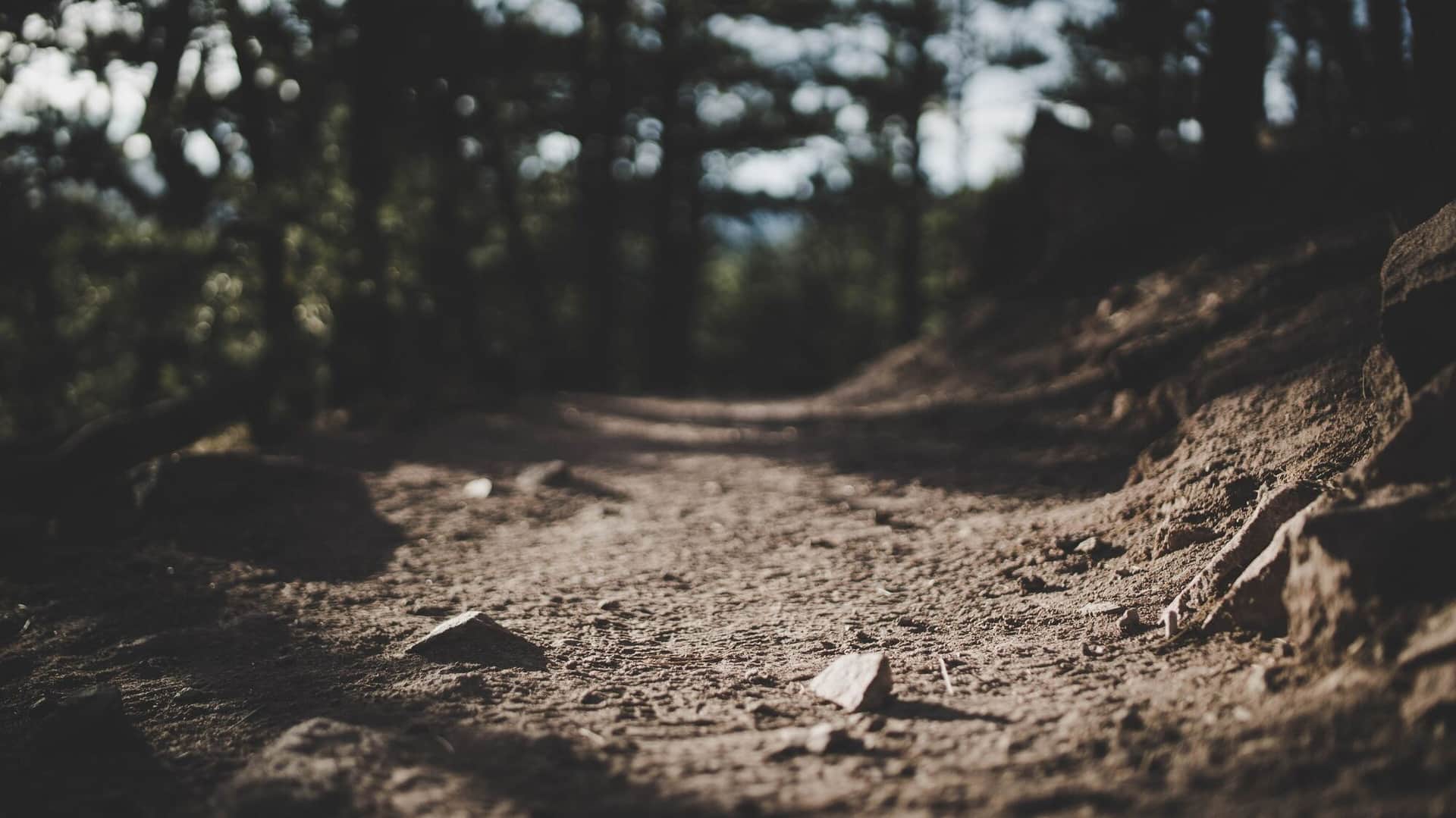 Mount Sanitas Trail