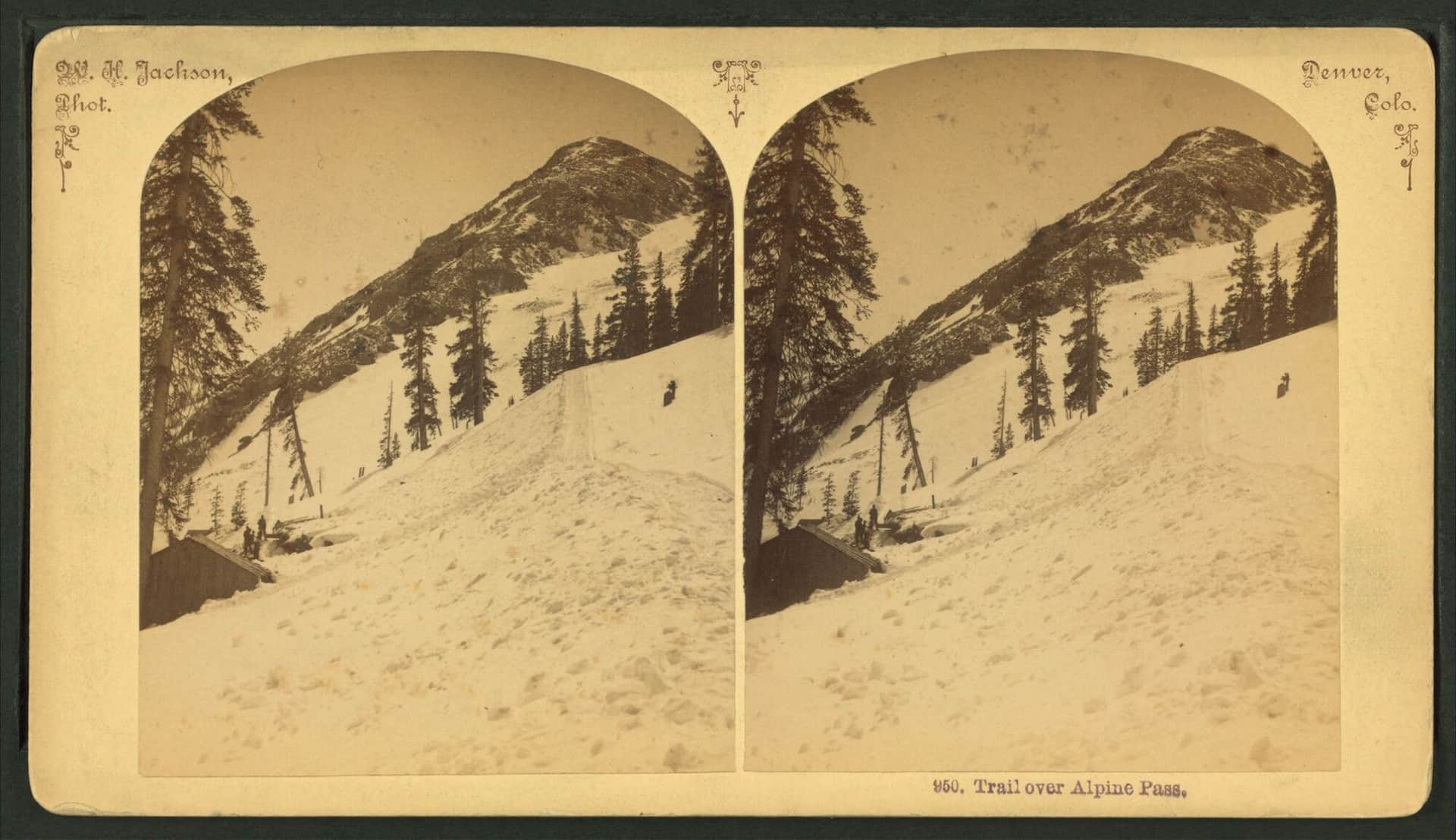 Pitkin Lake Trail