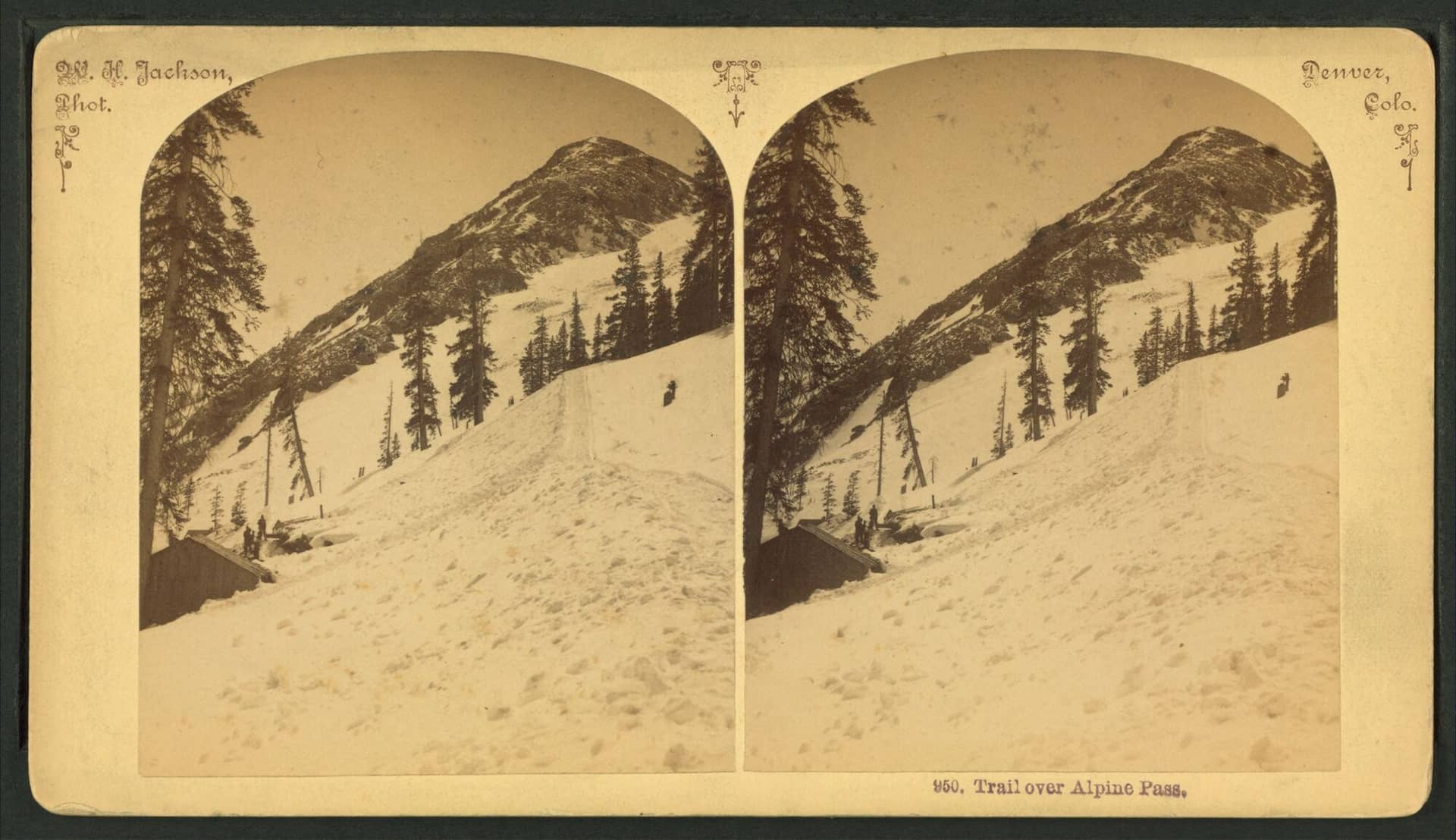 Pitkin Lake Trail