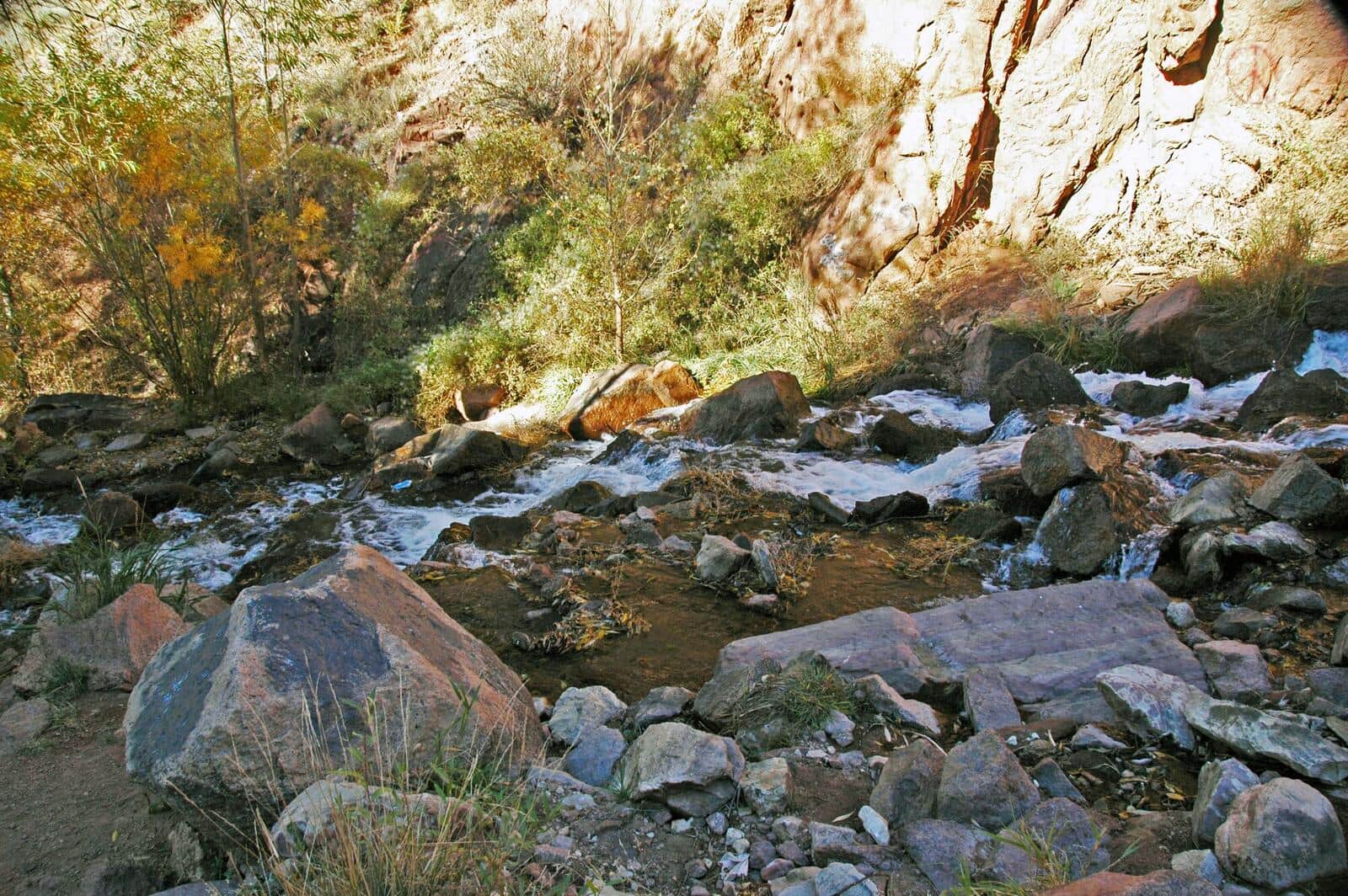 Spring Creek Trail
