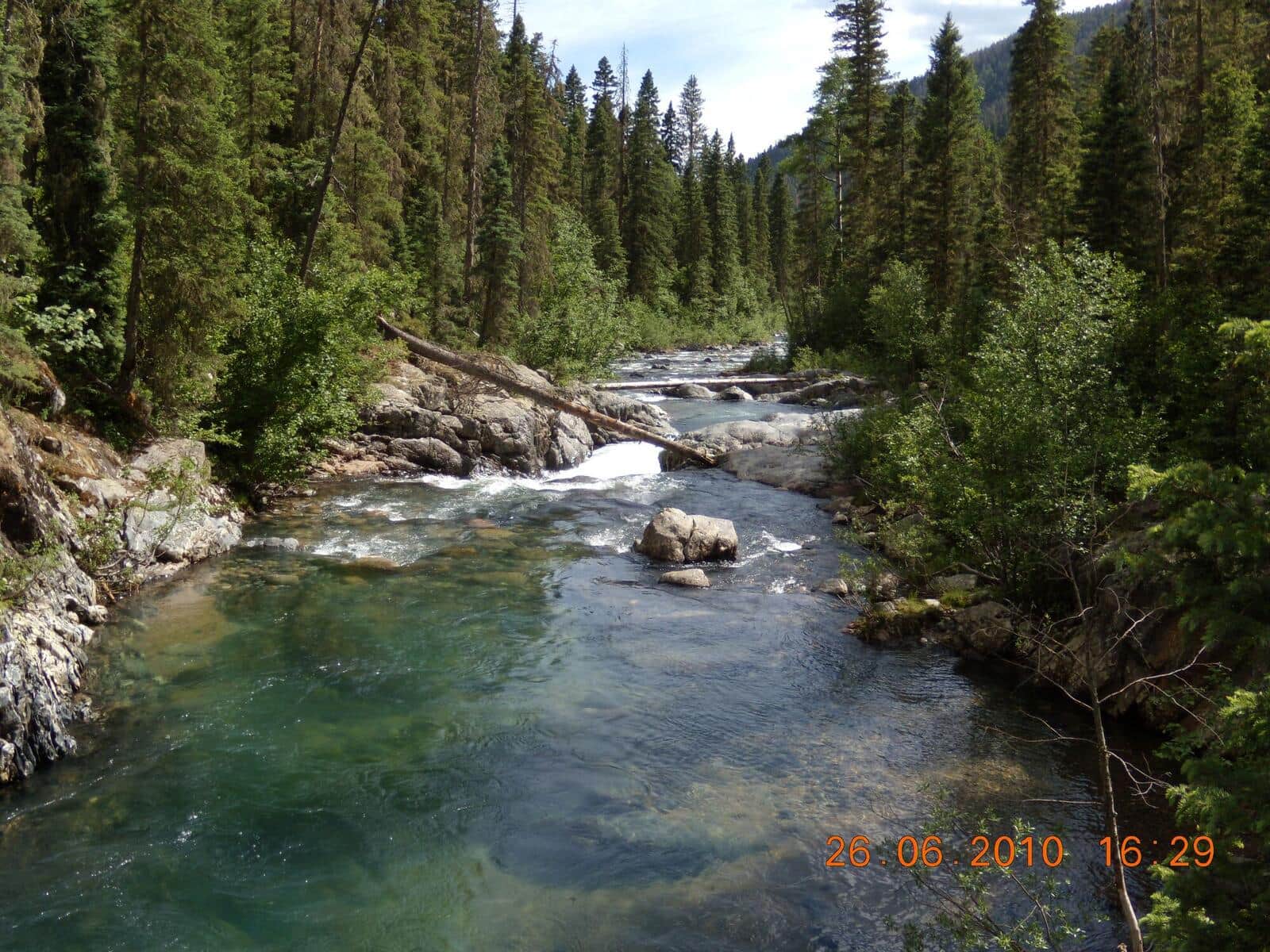 Vallecito Creek Trail