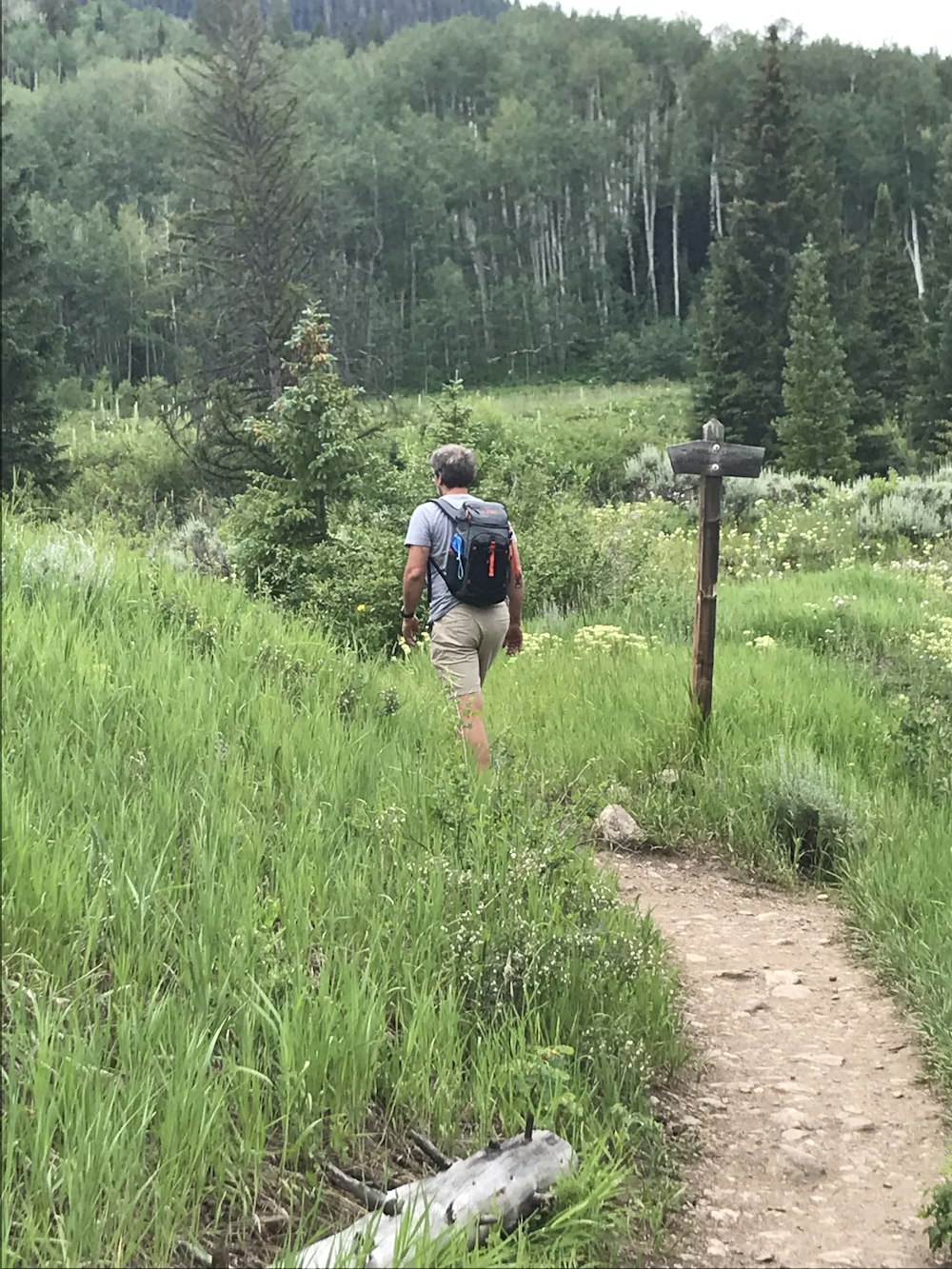 Mountain trail with stunning views of the Colorado Rockies